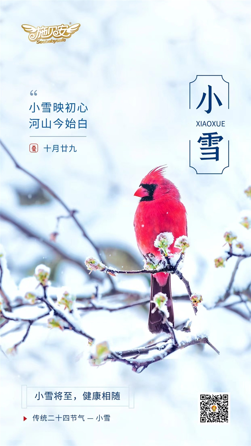 ☃小雪已至 施貝安與您相隨