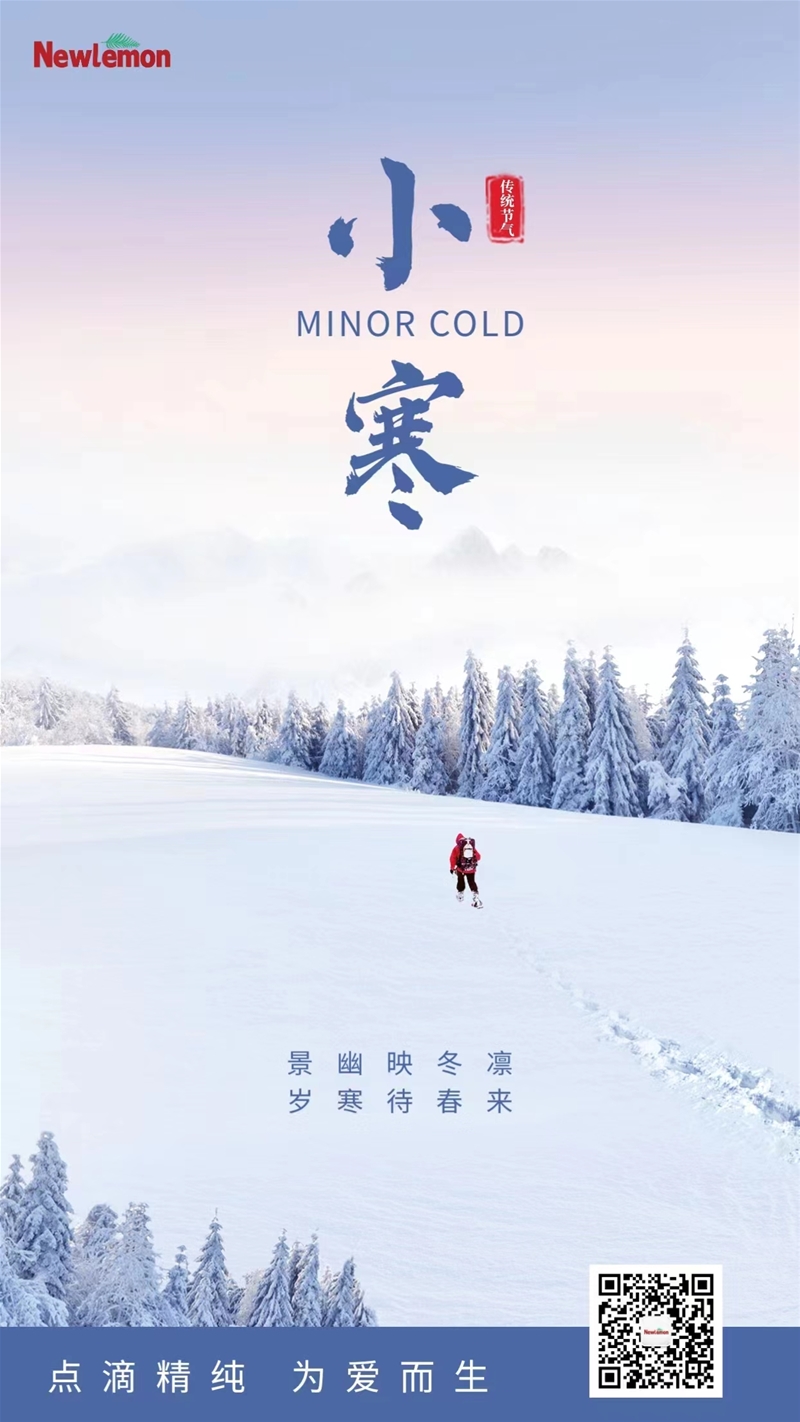 歲寒待春來